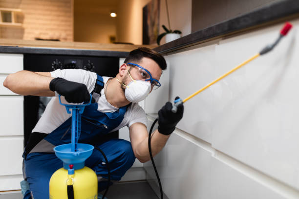 Best Mosquito Control Services  in Daytona Beach Shores, FL