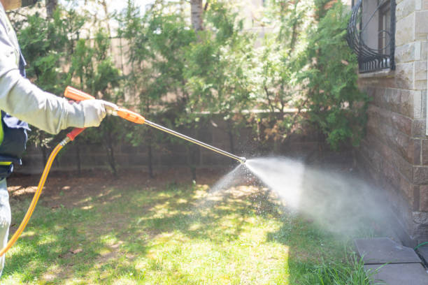 Best Mosquito Control Services  in Daytona Beach Shores, FL