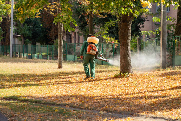 Trusted Daytona Beach Shores, FL Pest Control Experts