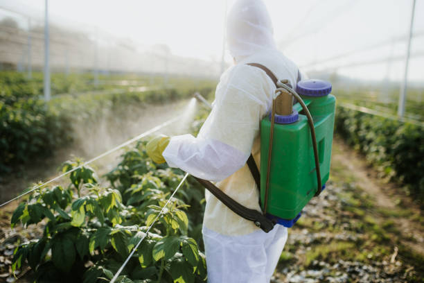 Best Pest Removal Services  in Daytona Beach Shores, FL